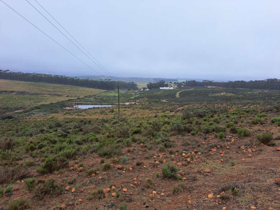 17 Bedroom Property for Sale in Riversdale Rural Western Cape